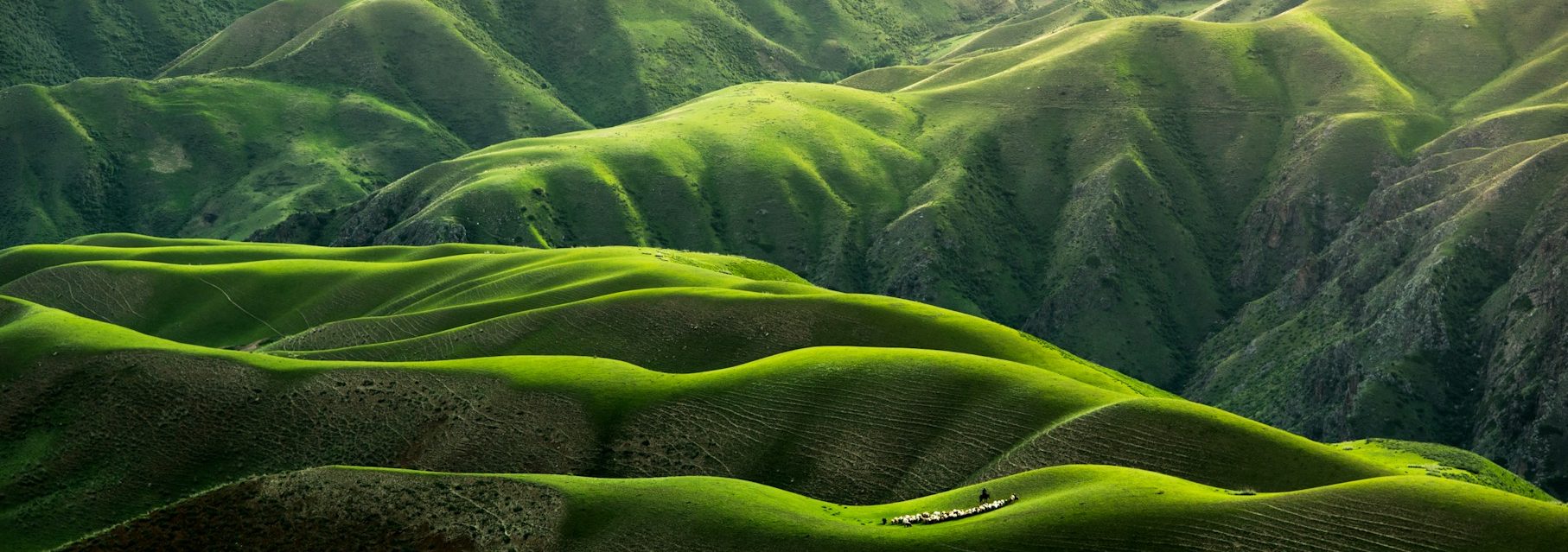 Green rolling hills landscape